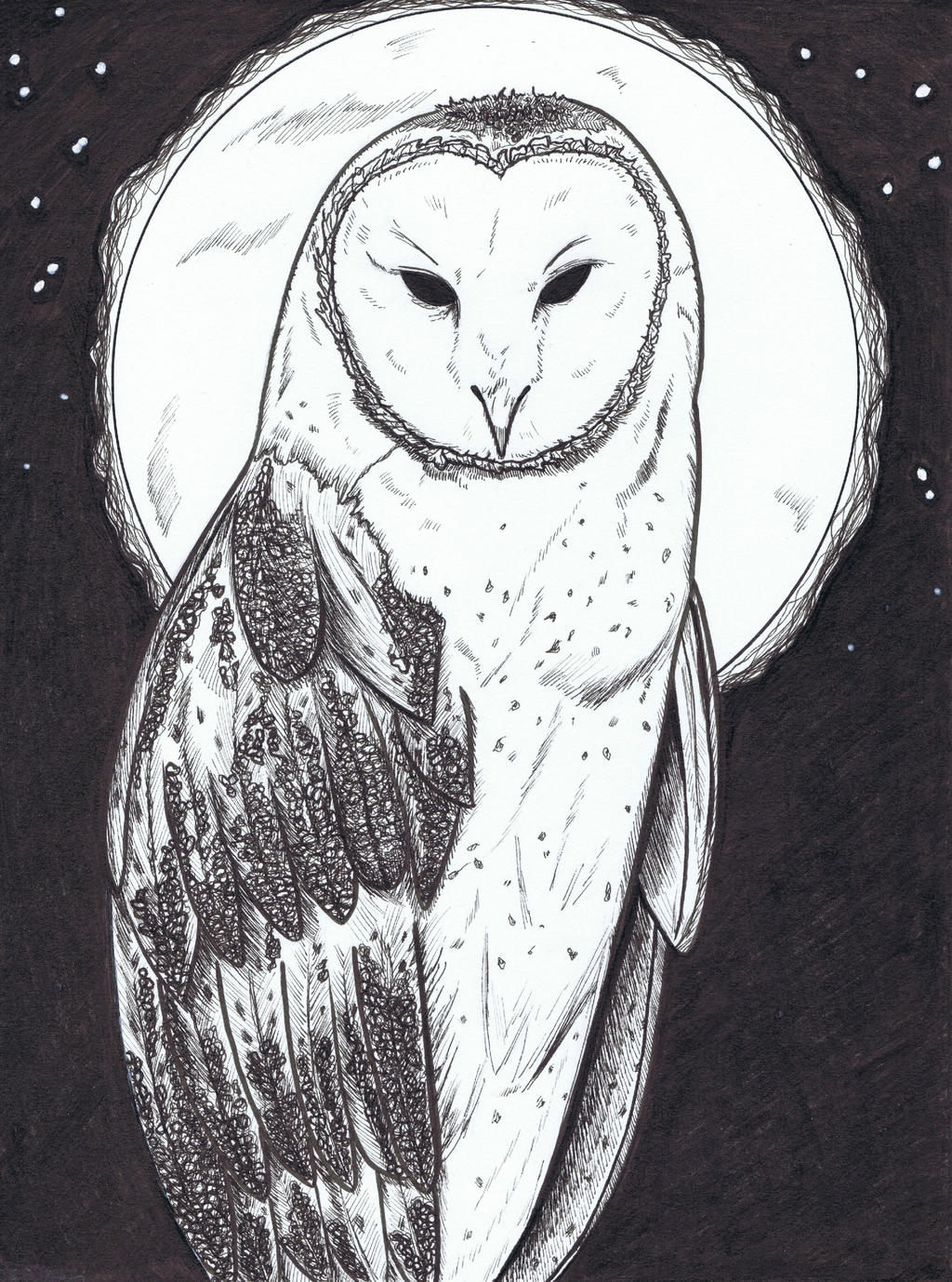 Barn Owl Totem By Hawkeyevsgirl On Deviantart
