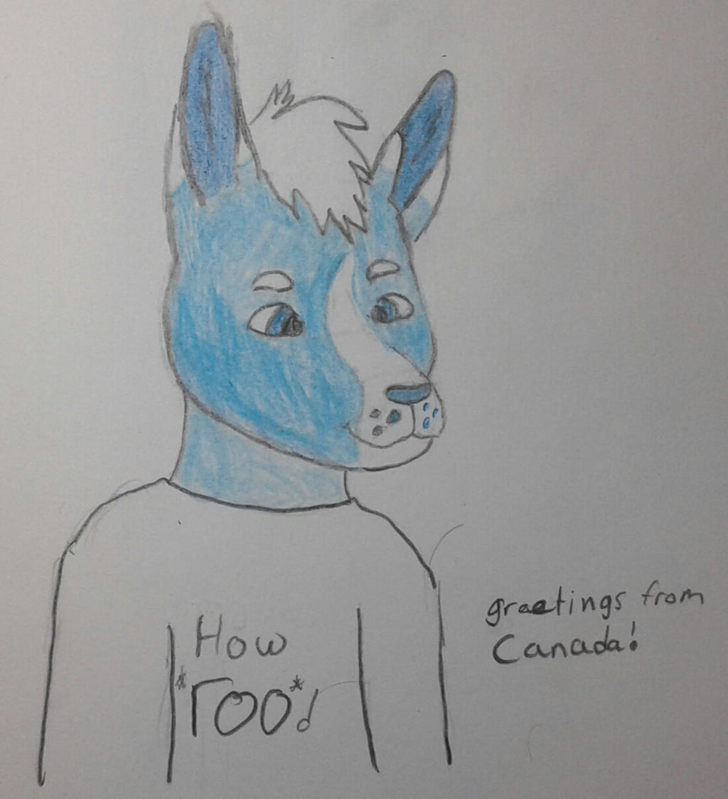 Ppcari Roo POCARI ROO by Noonek123 on DeviantArt