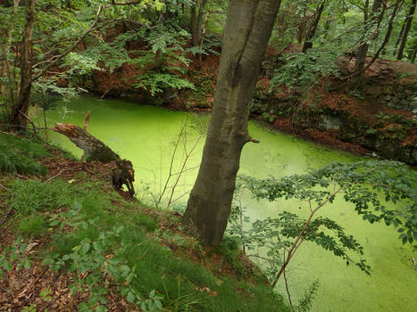 Owl  Mountain - Poland *2