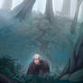 Fog Forest