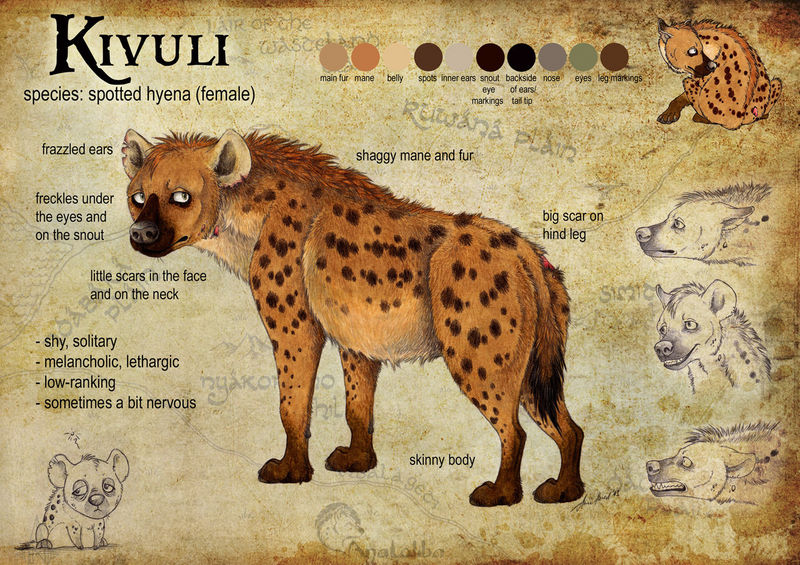 Kivuli Reference Sheet