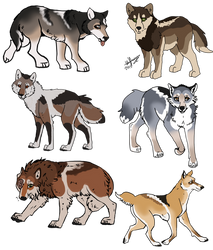 Unused canine Designs