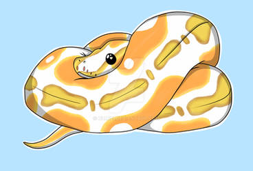 royal python doodle