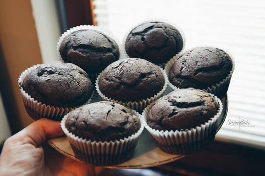 Muffins