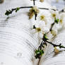 Books and blossoms