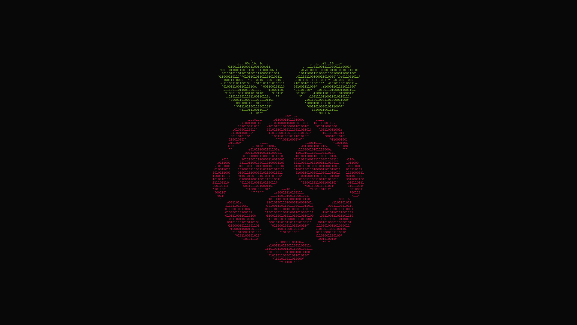 Raspberry pi 1920x1080 binary wallpaper