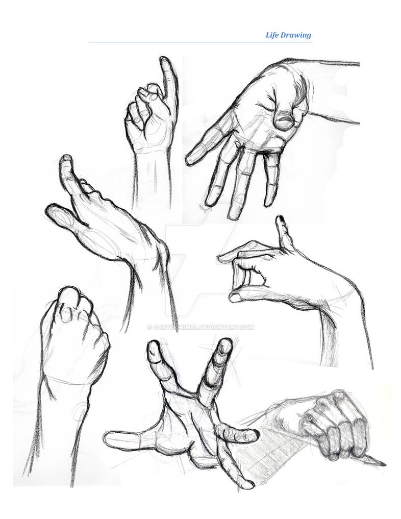Dcap Drawing cap drawing 7 by cartoonimal on DeviantArt