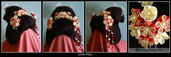 Little Plum Maiko Set