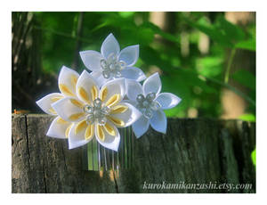 Sunny Clematis - SOLD