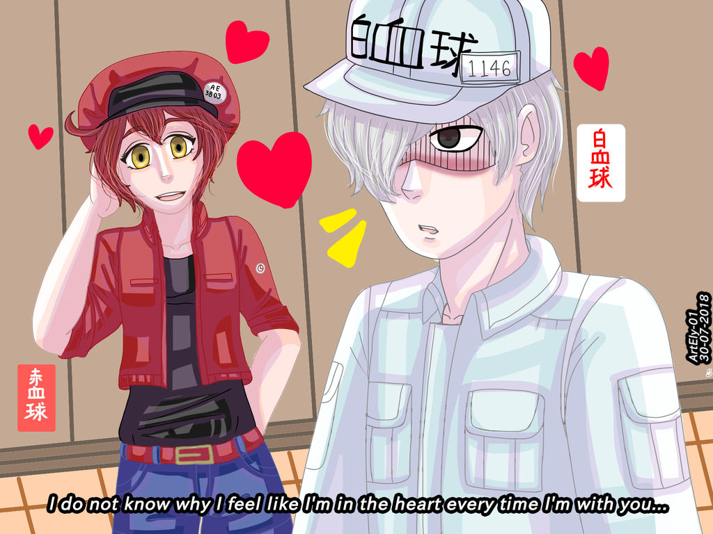 Hataraku Saibou U 1146 X Ae3803 By Artely 01 On Deviantart Hataraku Saibou U 1146 X Ae3803 By Artely 01 On Deviantart