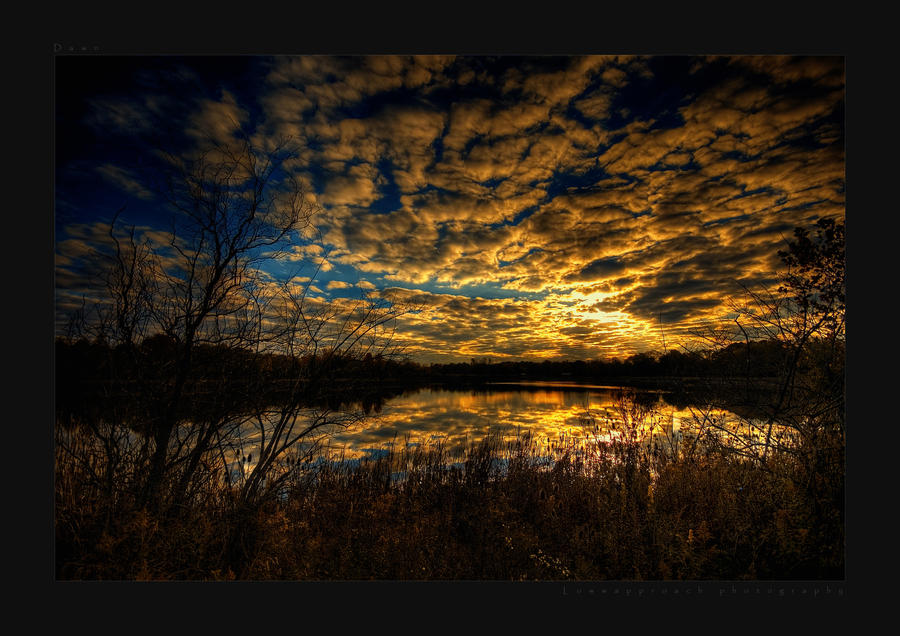 Dawn