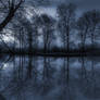Cold Feeling
