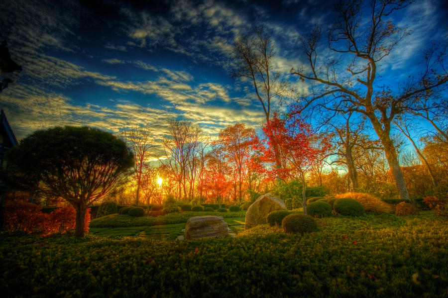 Wonderland