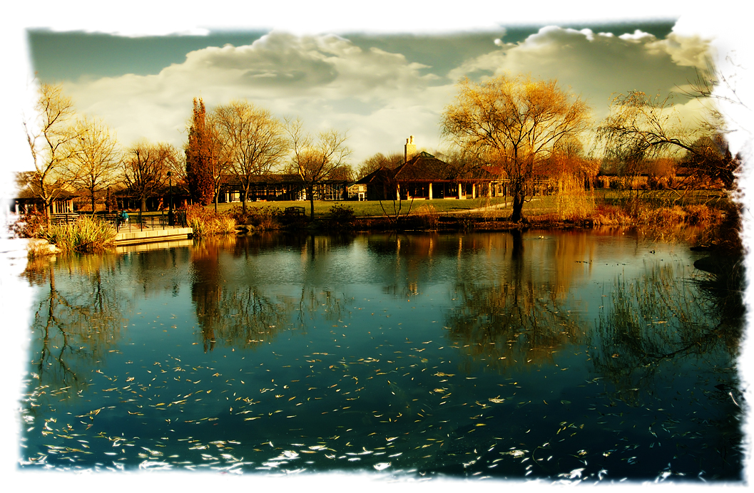 The Japanese Garden