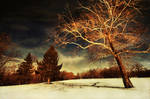 Against A Winter Sky by lowapproach
