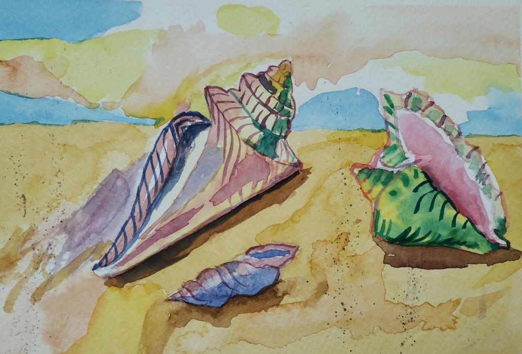 shells watercolor by prak3429 on DeviantArt