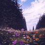 flower kid