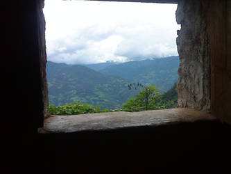 vida por la ventana