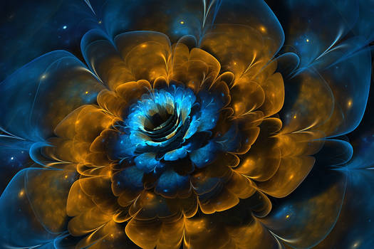 The Floral Nebula