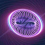 Folded Space