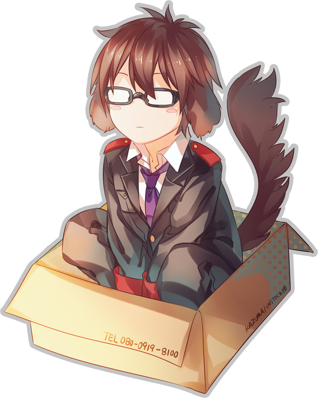 kazuma(dog)