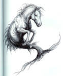 Seahorse by SMcNonnahs