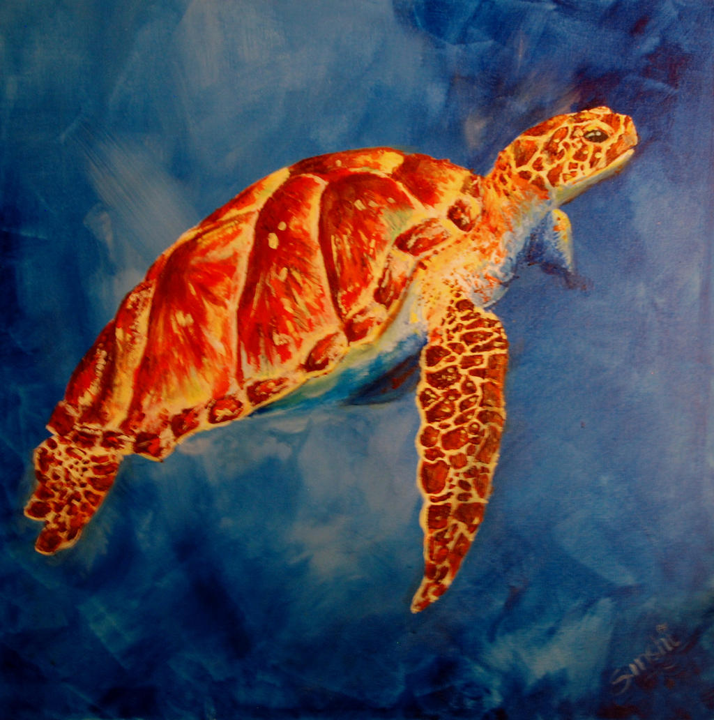 Acrylic turtle