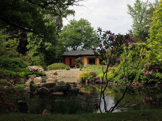 Japanese Garden