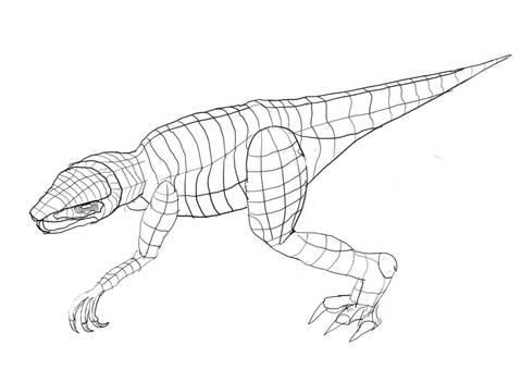 Raptor Drawing