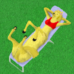 Do taurs sunbathe? :c: