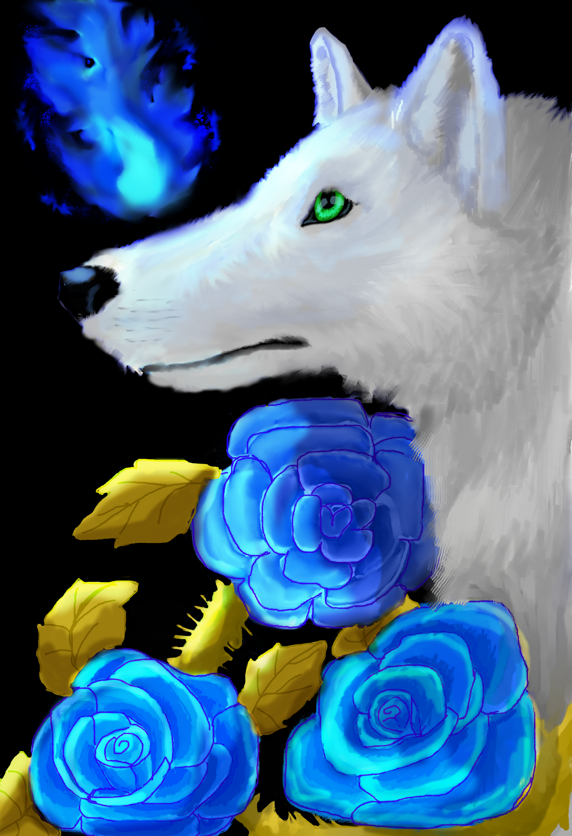 Blue rose