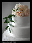 Wedding Cake by ShanKnow