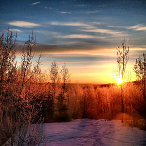 My Morning by WynterWonderer My Morning by WynterWonderer