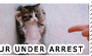 UR Under Arrest