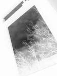 White Window 2 by xold-childx