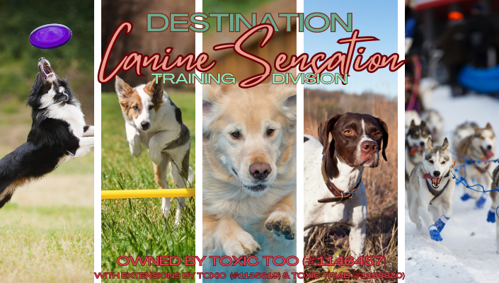 Destination Canine-Sensation: Training Division by Toxic Too featuring from left to right a Border Collie doing Frisbee, a dog jumping in Agility, a Golden Retriever doing Dock Diving, a German Pointer hunting, and huskies sledding.