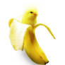 banana bird