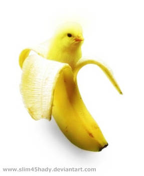 banana bird