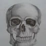 Skull-drawing again