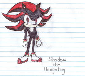 Shadow the Hedgehog