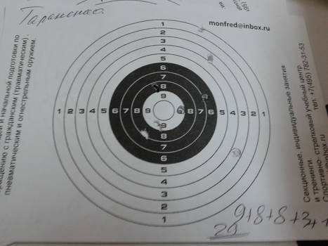 My result in the school shooting gallery (29 pts).