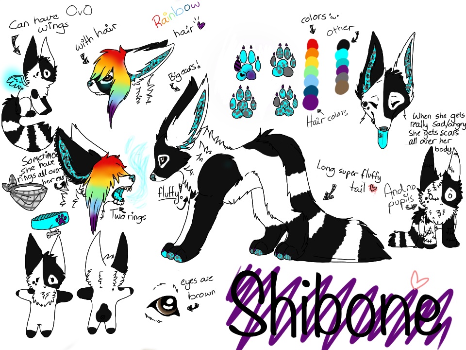 Shibone ref 2013