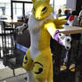 Renamon is real