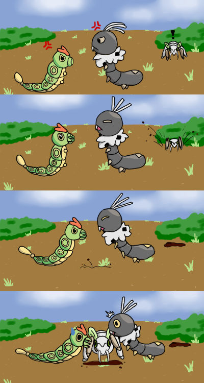 Bug Fights by Krisander on DeviantArt