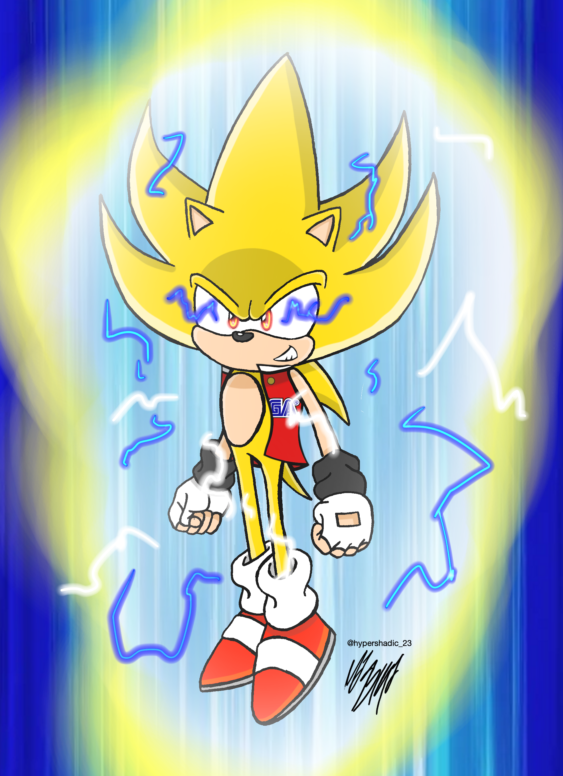  Sonic X: A Super Sonic Hero, Vol. 1 (Chaos Control