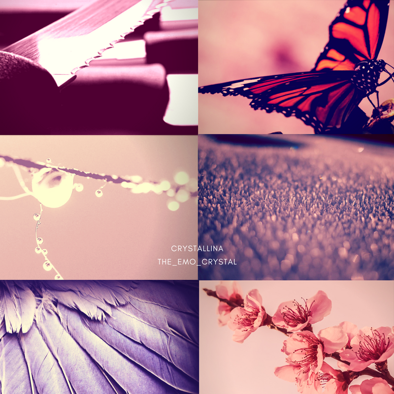 aesthetic #3 |innocence|