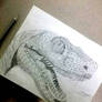 Raptor Pencil Sketch