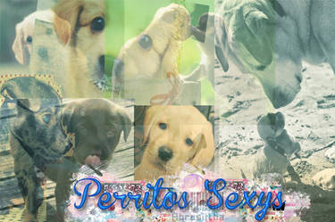 Blend-Perritos