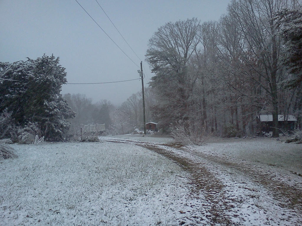 First Snow-Novemeber 2013-9