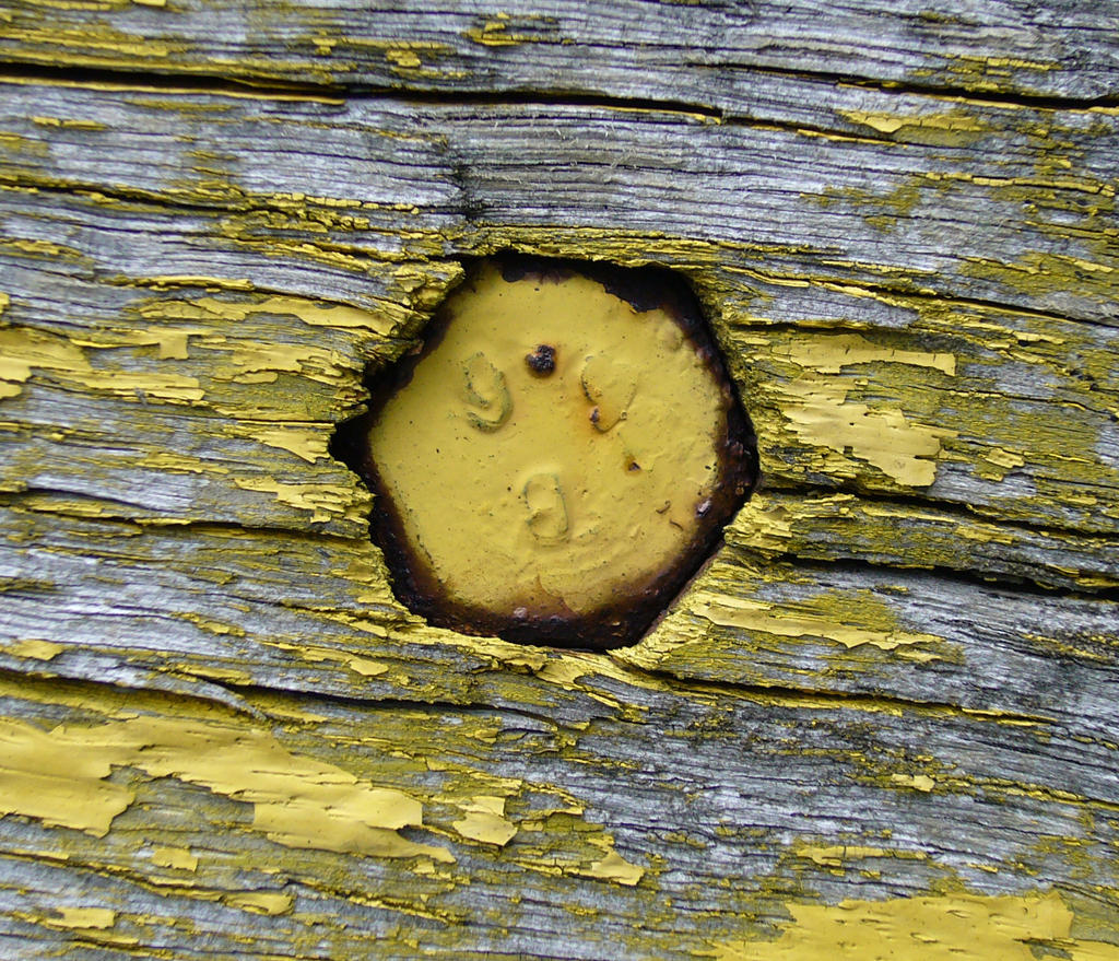 wood 3